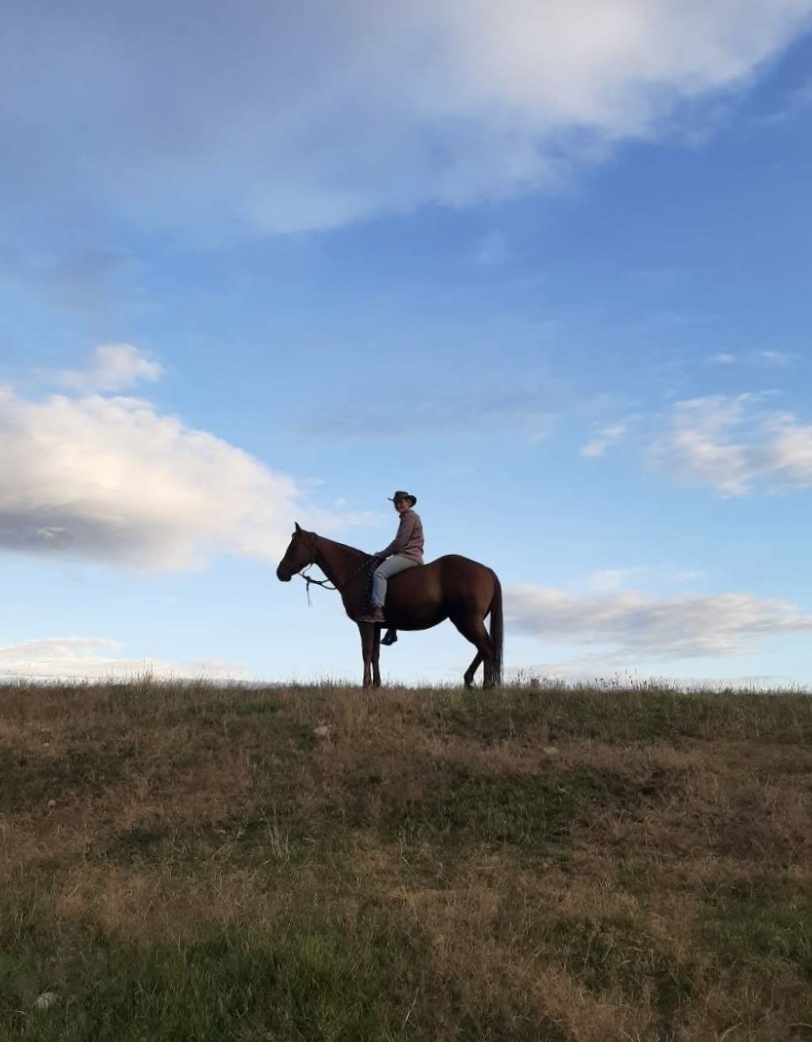 Looking ahead with horses